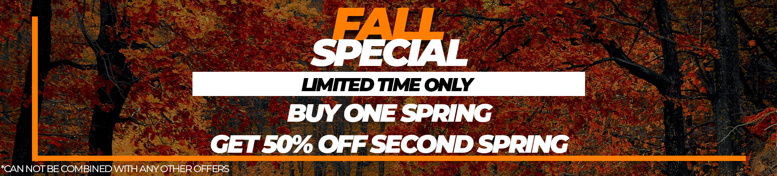 Seasonal Special