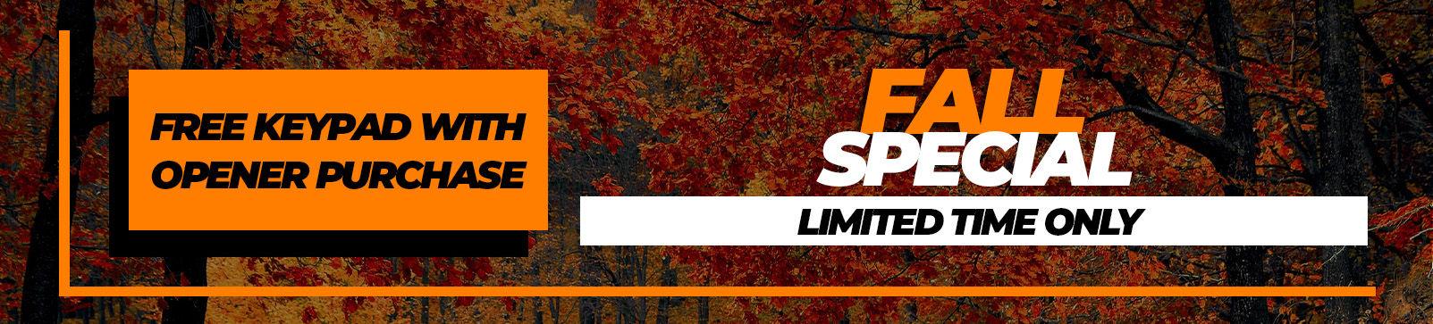 Seasonal Special