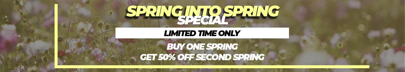 Spring Into Spring Special