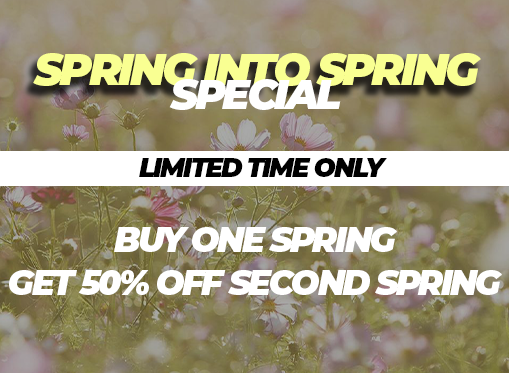 Spring Into Spring Special