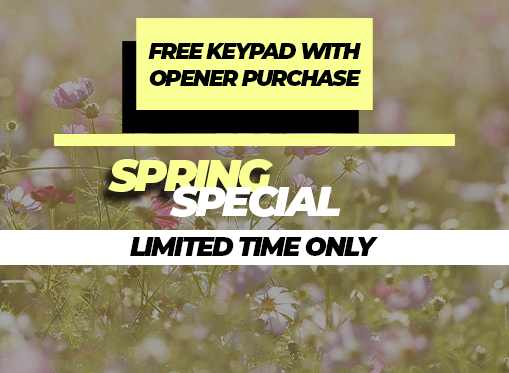 Spring Opener Special