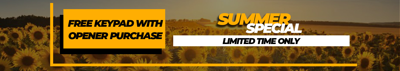Summer Opener Special
