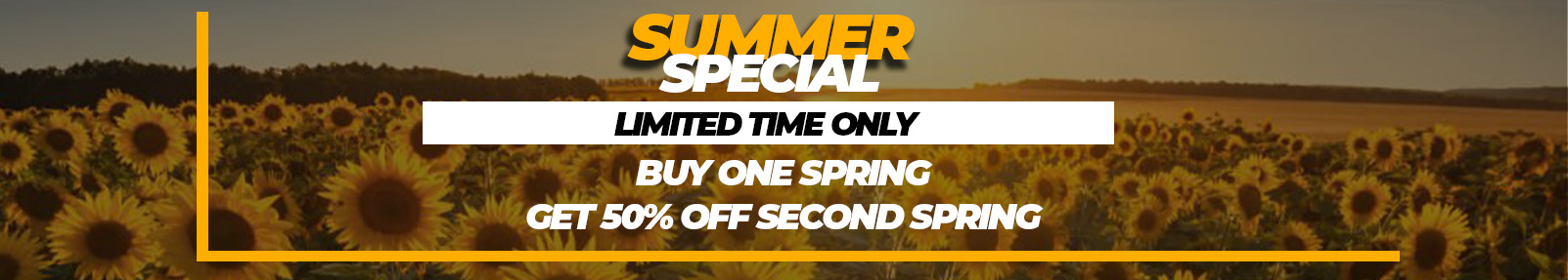 Summer Special